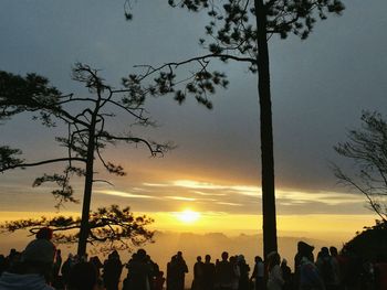 Silhouette of people on tree against sky during sunset