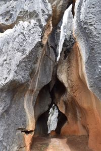 Close-up of cave