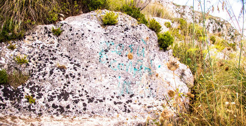 Scenic view of rocks on land