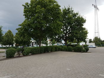 View of trees against the sky