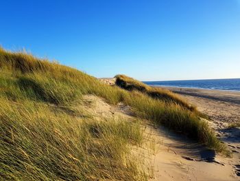 Scenic view of beach against clear blue sky