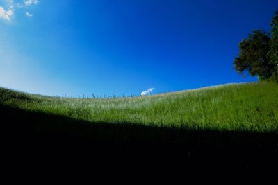 Scenic view of field against clear blue sky