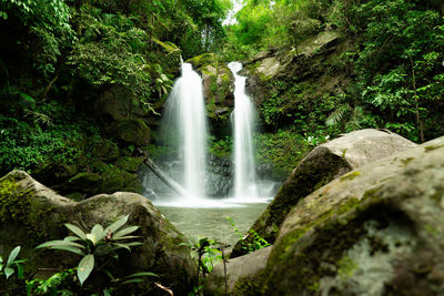 Scenic view of waterfall in forest