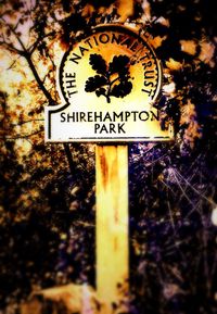 Close-up of sign board