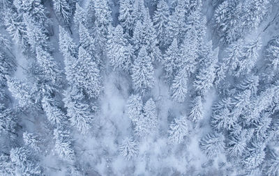 Full frame shot of snowflakes on glass window