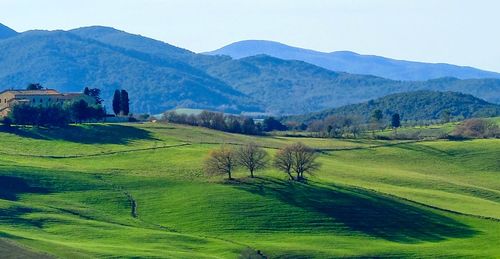 Scenic view of field and mountains against sky