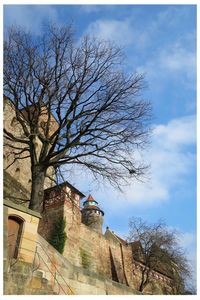 Low angle view of bare tree against sky