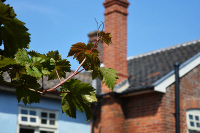 Low angle view of house against sky