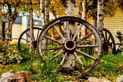 Abandoned wheel on field