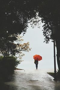 Rear view of person standing by tree during rainy season