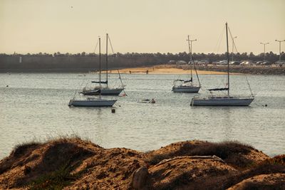 Sailboats moored in sea against clear sky