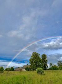 Trees on field against rainbow in sky