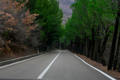 Road amidst trees in forest