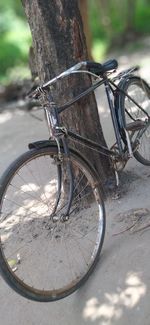 Close-up of bicycle parked on tree trunk