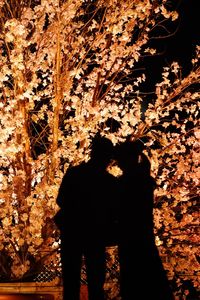 Rear view of silhouette woman standing by illuminated tree during night