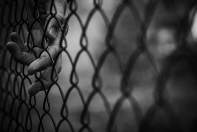 Close-up of hand on chainlink fence