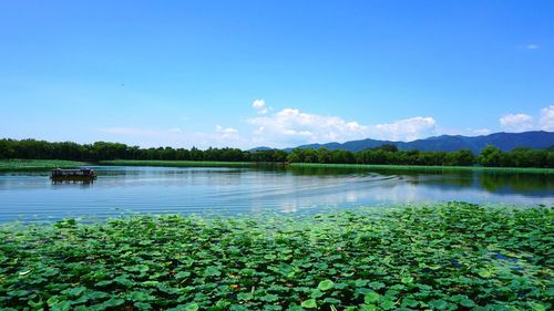 A walk through beijing's summer palace