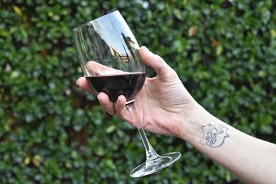 Close-up of hand holding  glass of wine