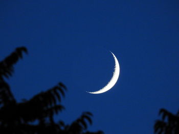 Low angle view of half moon against blue sky