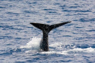 Waves splashing in water