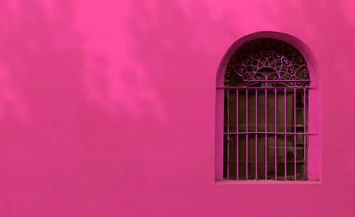 Hot pink wrought iron vintage window on french rose pink colored wall with the foliage shadows