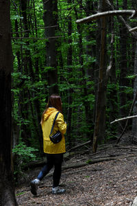 Rear view of man walking in forest