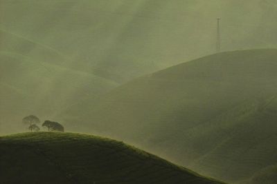 Scenic view of green landscape