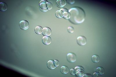 Close-up of water drops on black background