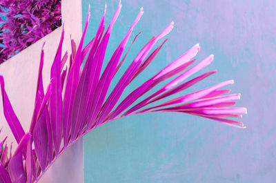 Close-up of multi colored umbrellas against wall