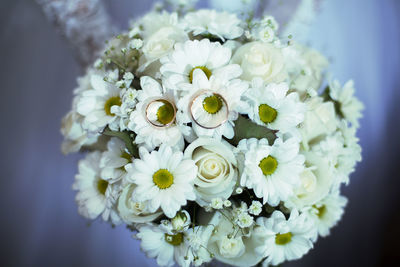 Close-up of white flowers