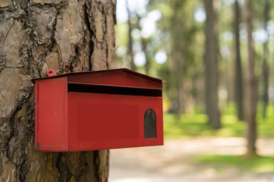 Close-up of red mailbox on tree trunk