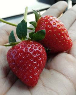 Close-up of hand holding strawberries