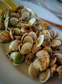 Close-up of food