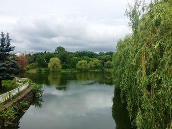 Scenic view of trees against sky