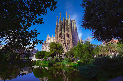 Reflection of trees and buildings in water