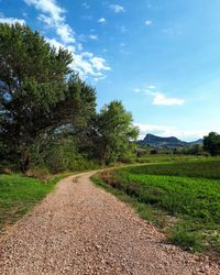 Road amidst field against sky