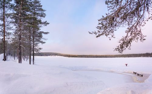 Scenic view of snow covered land and trees against sky