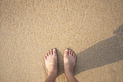 Low section of person standing on sand