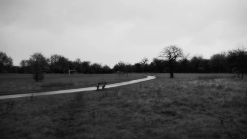 Trees on grassy field