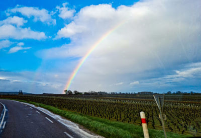 rainbow