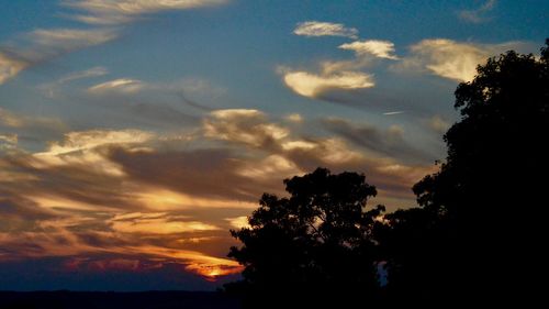 Low angle view of silhouette trees against sky during sunset