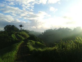 Scenic view of landscape against sky