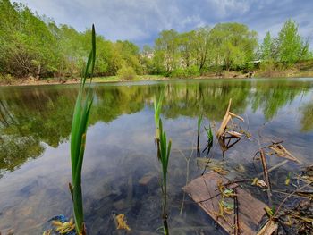 Scenic view of lake and trees against sky