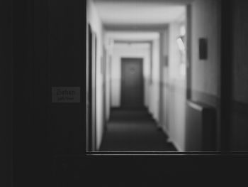 Row of trees in the dark