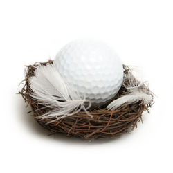 Close-up of ball in nest on white background