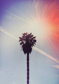 Low angle view of vapor trail against sky during sunset