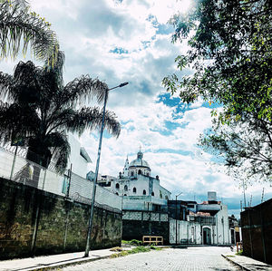 Road by palm trees and buildings against sky