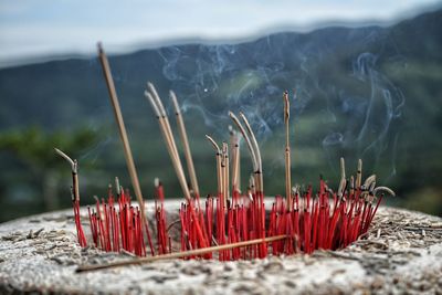 Close-up of red against sky