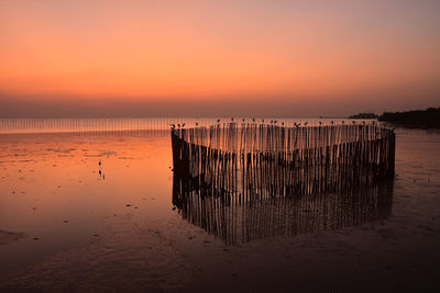 Twilight after sunset and seagulls on the heart shape bamboo