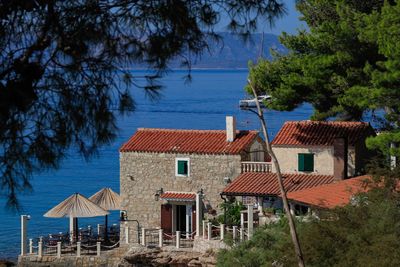 Houses by trees against blue sky